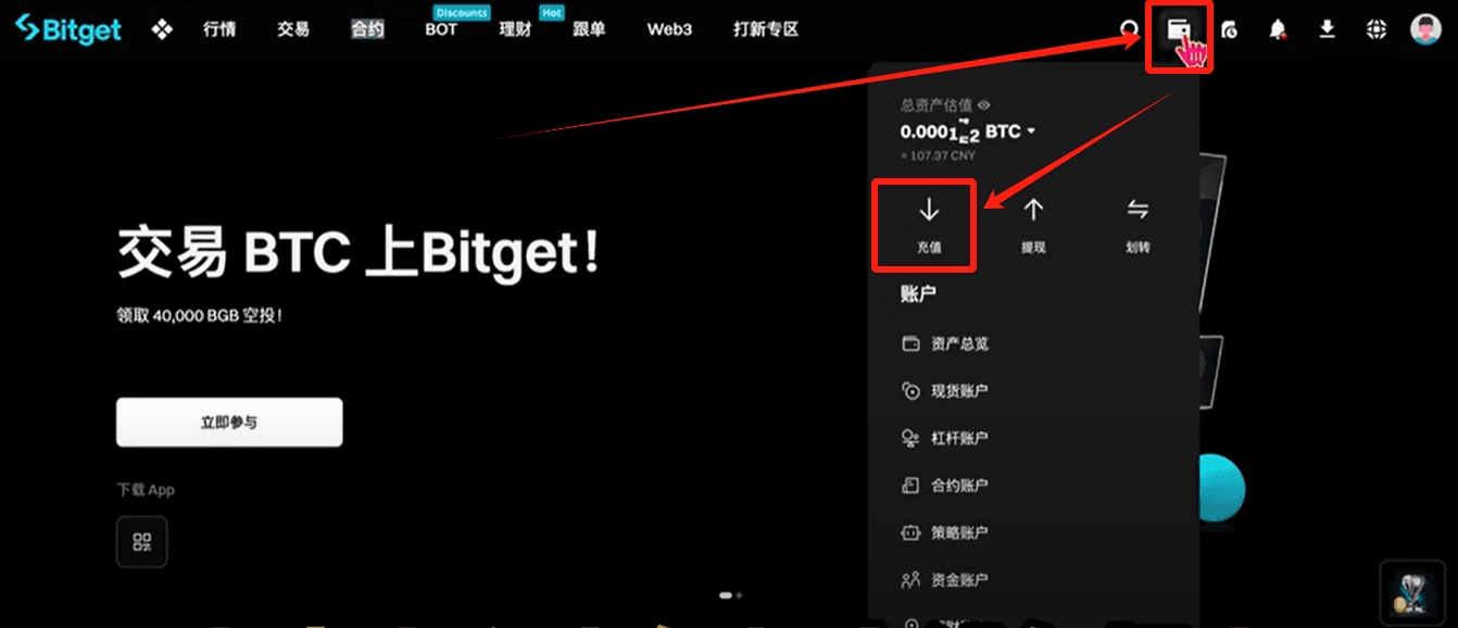 Bitget Deposit Interface